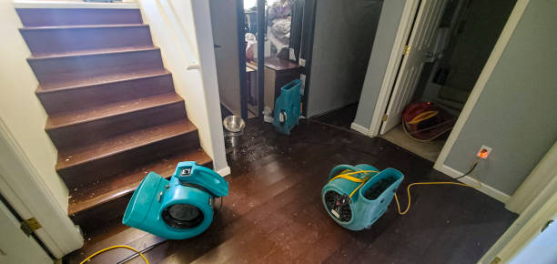Best Water damage cleanup near me  in Loyola, CA