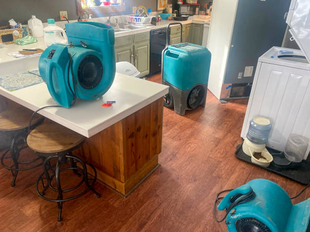 Best 24/7 water damage repair  in Loyola, CA