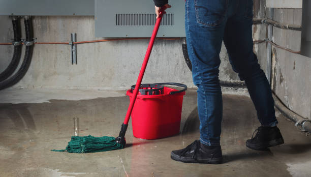 Best Commercial water damage restoration  in Loyola, CA