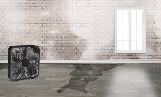 Best Flooded house restoration  in Loyola, CA