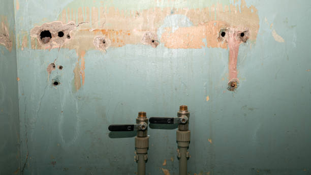 Best Basement water damage restoration  in Loyola, CA