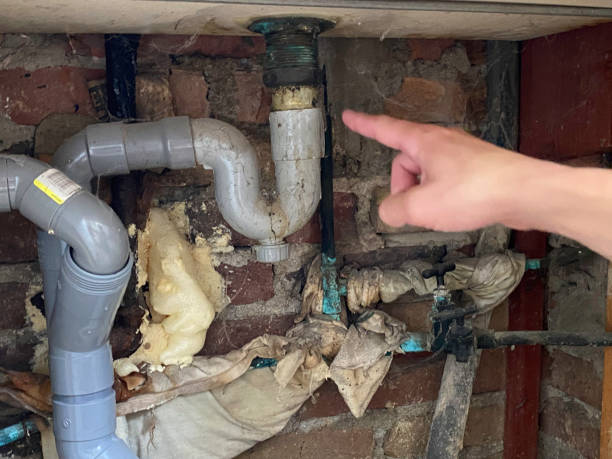 Best Basement water damage restoration  in Loyola, CA